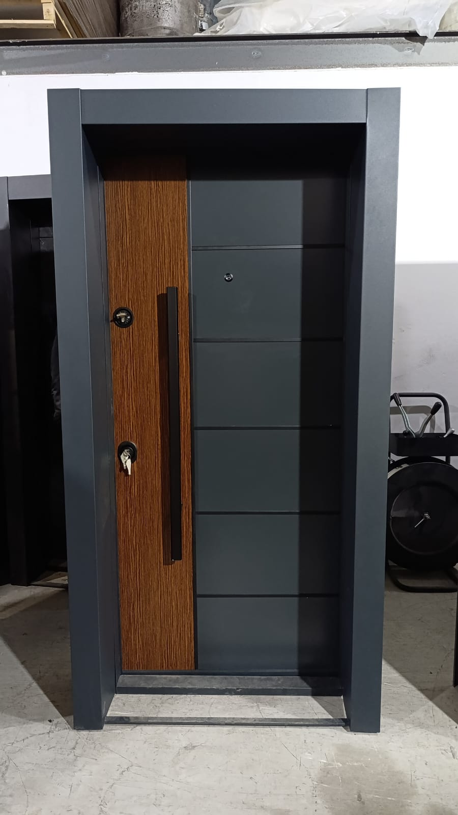 Çelik Kapı Model 2